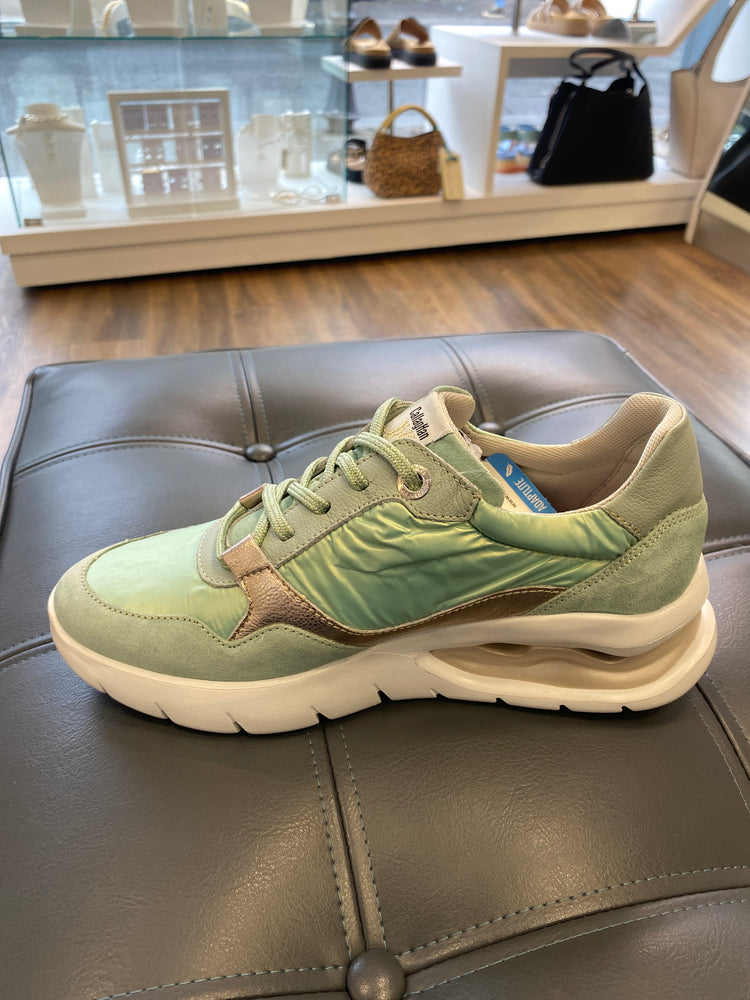 
                  
                    Callaghan Aria Aqua Lace Trainer with Gold
                  
                