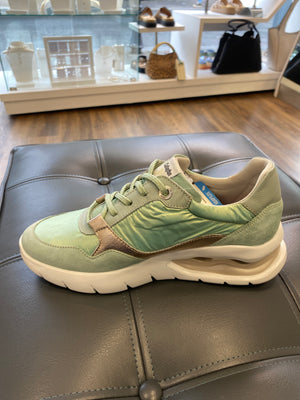 
                  
                    Callaghan Aria Aqua Lace Trainer with Gold
                  
                