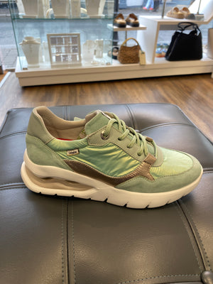 
                  
                    Callaghan Aria Aqua Lace Trainer with Gold
                  
                