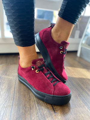 Paul green sales trisha sale